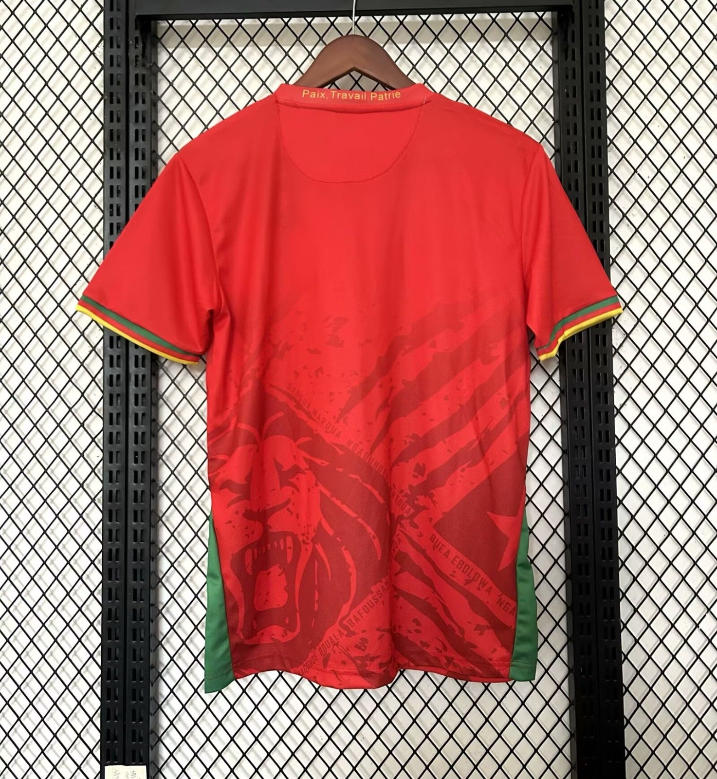 Maillot Cameroun Spécial 25/26